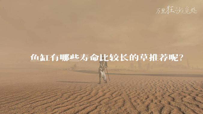 鱼缸有哪些寿命比较长的草推荐呢？