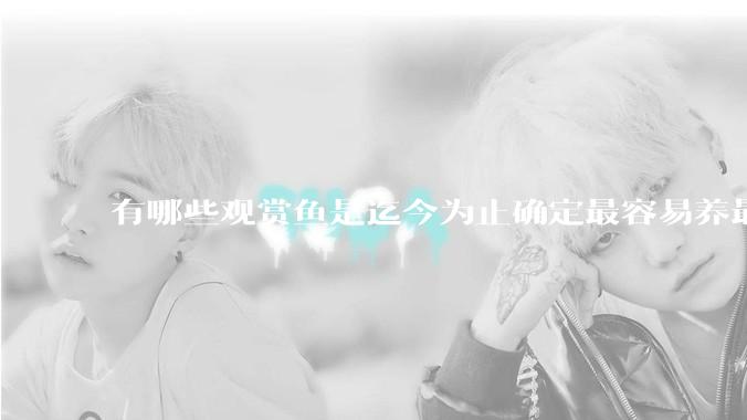 有哪些观赏鱼是迄今为止确定最容易养最不容易死的？