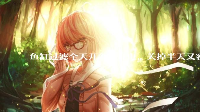 鱼缸过滤全天开着太耗电，关掉半天又容易水浑，有什么好办法？